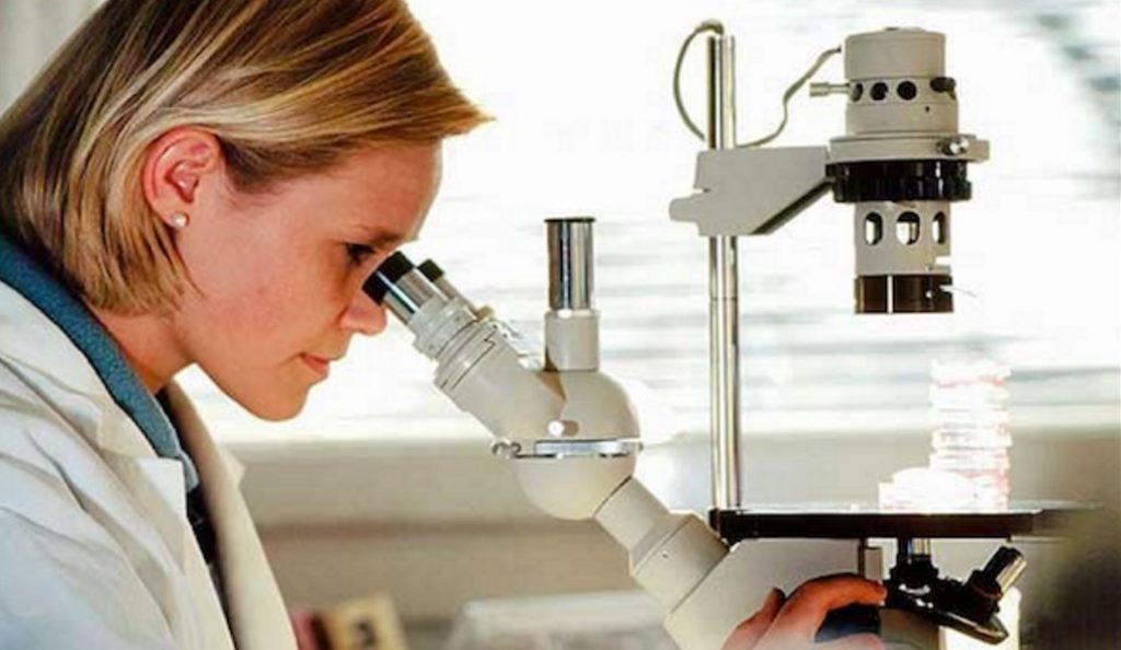 Βρετανία: Επιστήμονες δημιούργησαν για πρώτη φορά ανθρώπινα ωάρια | Pagenews.gr Βρετανία: Επιστήμονες δημιούργησαν για πρώτη φορά ανθρώπινα ωάρια | Pagenews.gr