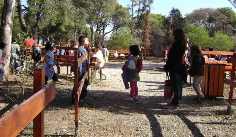 Δήμος Καλαμαριάς: Κατασκηνώσεις για μαθητές και ΑμεΑ | Pagenews.gr Δήμος Καλαμαριάς: Κατασκηνώσεις για μαθητές και ΑμεΑ | Pagenews.gr