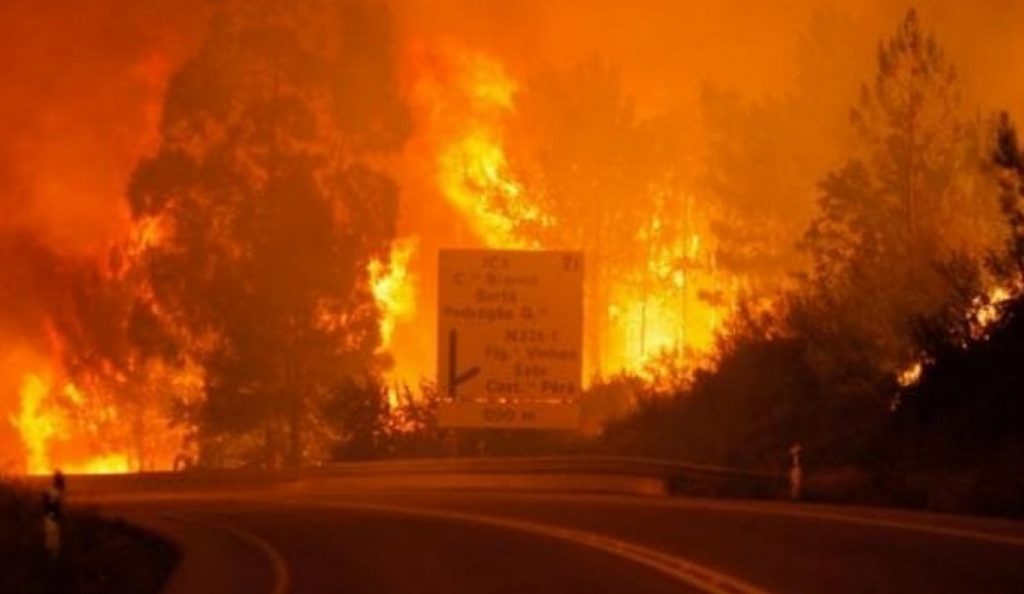 (upd) Πορτογαλία: Τριήμερο εθνικό πένθος για τα θύματα της πυρκαγιάς – Στους 62 οι νεκροί (pics & vid) | Pagenews.gr (upd) Πορτογαλία: Τριήμερο εθνικό πένθος για τα θύματα της πυρκαγιάς – Στους 62 οι νεκροί (pics & vid) | Pagenews.gr