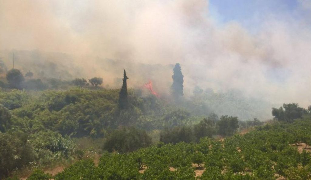 Συνελήφθη 58χρονος στη Φλώρινα για πρόκληση πυρκαγιάς | Pagenews.gr Συνελήφθη 58χρονος στη Φλώρινα για πρόκληση πυρκαγιάς | Pagenews.gr