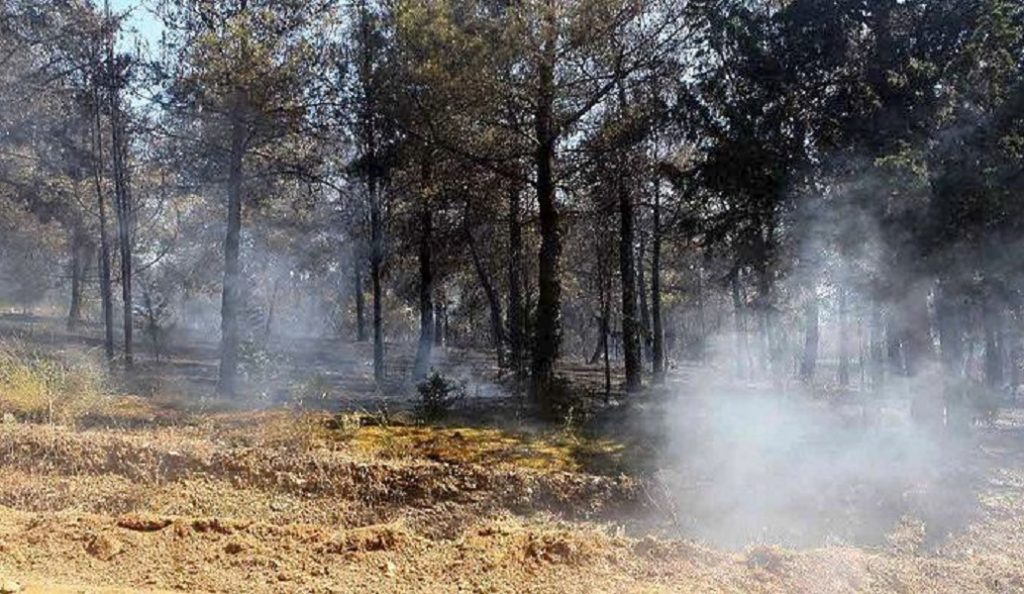 Πυρκαγιά σε δασική έκταση στο στρατόπεδο της Ασσήρου | Pagenews.gr Πυρκαγιά σε δασική έκταση στο στρατόπεδο της Ασσήρου | Pagenews.gr