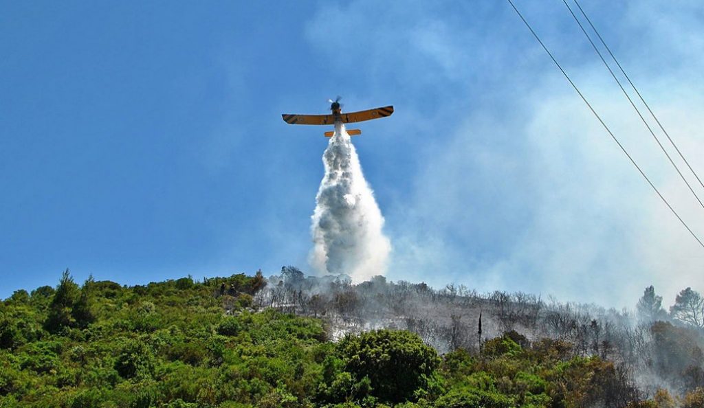 Πυρκαγιά στη Ζάκυνθο – Καίει δασική έκταση (pic) | Pagenews.gr Πυρκαγιά στη Ζάκυνθο – Καίει δασική έκταση (pic) | Pagenews.gr