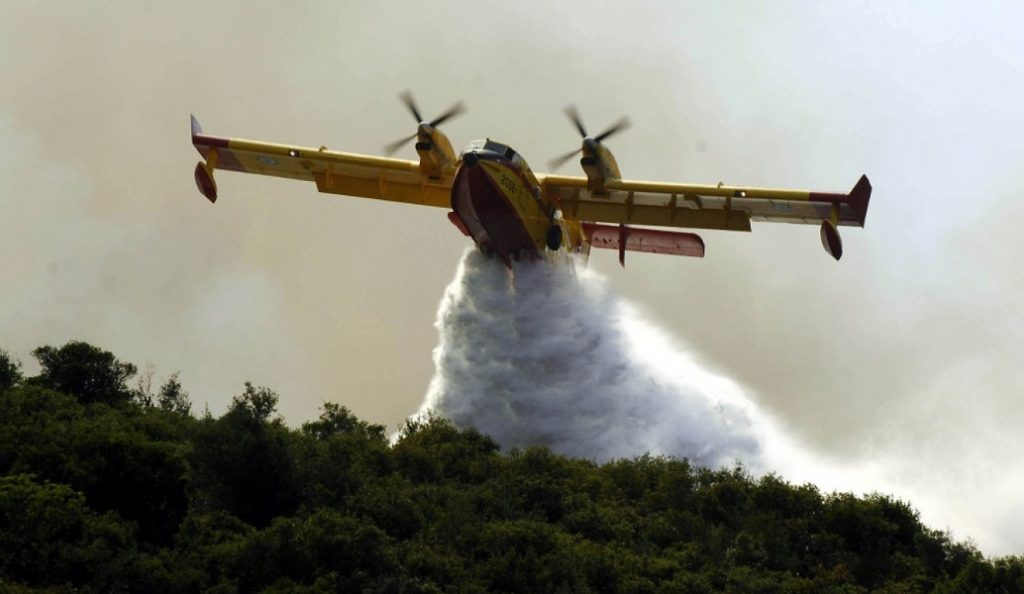 Πυρκαγιά σε δασική έκταση στον Βάλτο της Αιτωλοακαρνανίας | Pagenews.gr Πυρκαγιά σε δασική έκταση στον Βάλτο της Αιτωλοακαρνανίας | Pagenews.gr