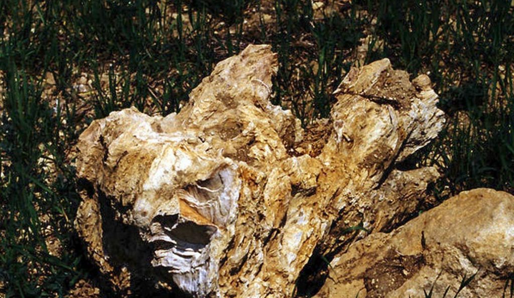 Στη δημιουργία γεωπάρκου στην Κερασιά Ευβοίας προχωρά η Περιφέρεια Στ. Ελλάδας | Pagenews.gr Στη δημιουργία γεωπάρκου στην Κερασιά Ευβοίας προχωρά η Περιφέρεια Στ. Ελλάδας | Pagenews.gr