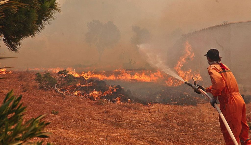 Καπάκης για τις πυρκαγιές στη Ζάκυνθο: Δεν μπορεί να είναι τυχαίες | Pagenews.gr Καπάκης για τις πυρκαγιές στη Ζάκυνθο: Δεν μπορεί να είναι τυχαίες | Pagenews.gr