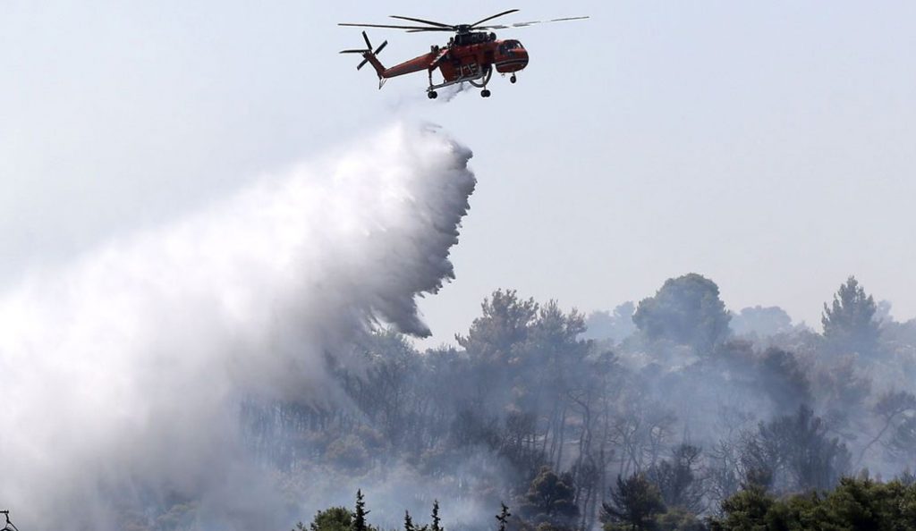 Φωτιά τώρα: Καίει πευκοδάσος στο Αγκίστρι (vid) | Pagenews.gr Φωτιά τώρα: Καίει πευκοδάσος στο Αγκίστρι (vid) | Pagenews.gr