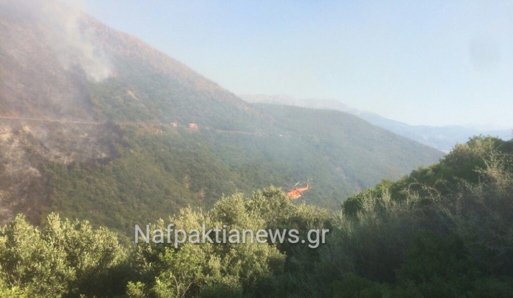 Πυρκαγιά στο Μολύκρειο Ναυπακτίας (vid) | Pagenews.gr Πυρκαγιά στο Μολύκρειο Ναυπακτίας (vid) | Pagenews.gr