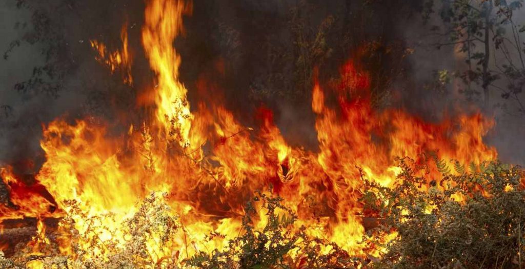 Εμπρησμός τα μεσάνυχτα στην Γαύδο; – Τι λέει η δήμαρχος | Pagenews.gr Εμπρησμός τα μεσάνυχτα στην Γαύδο; – Τι λέει η δήμαρχος | Pagenews.gr