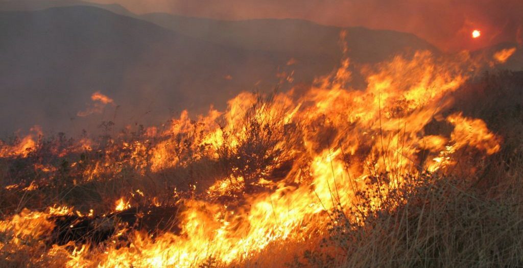 Ρόδος: Εκτός ελέγχου φωτιά στα νότια του νησιού | Pagenews.gr Ρόδος: Εκτός ελέγχου φωτιά στα νότια του νησιού | Pagenews.gr