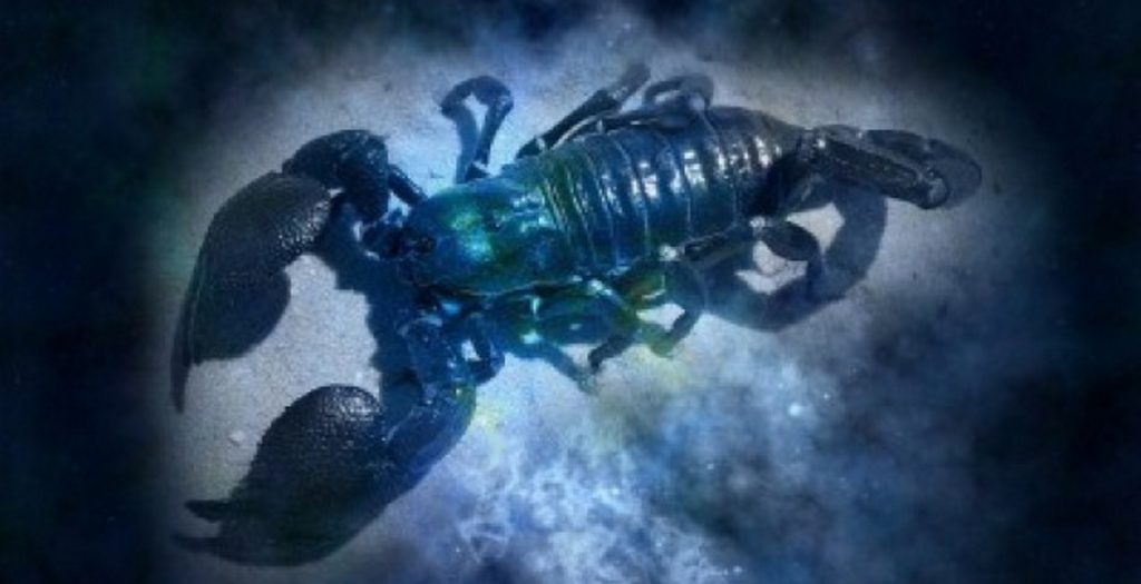 Ο απόλυτος οδηγός για τον Δία στον Σκορπιό | Pagenews.gr Ο απόλυτος οδηγός για τον Δία στον Σκορπιό | Pagenews.gr