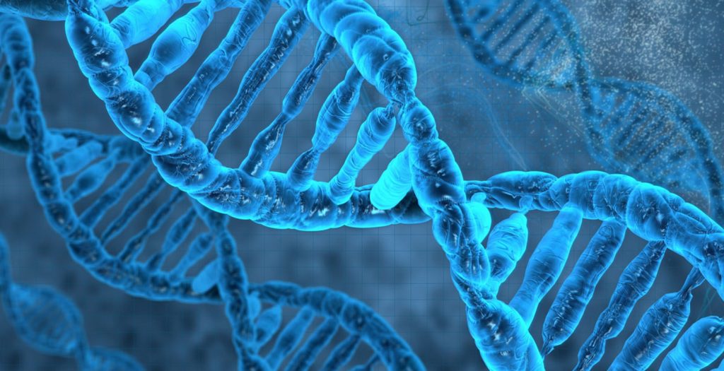 Βιοχημικοί άρχισαν να τροποποιούν το DNA τους | Pagenews.gr Βιοχημικοί άρχισαν να τροποποιούν το DNA τους | Pagenews.gr