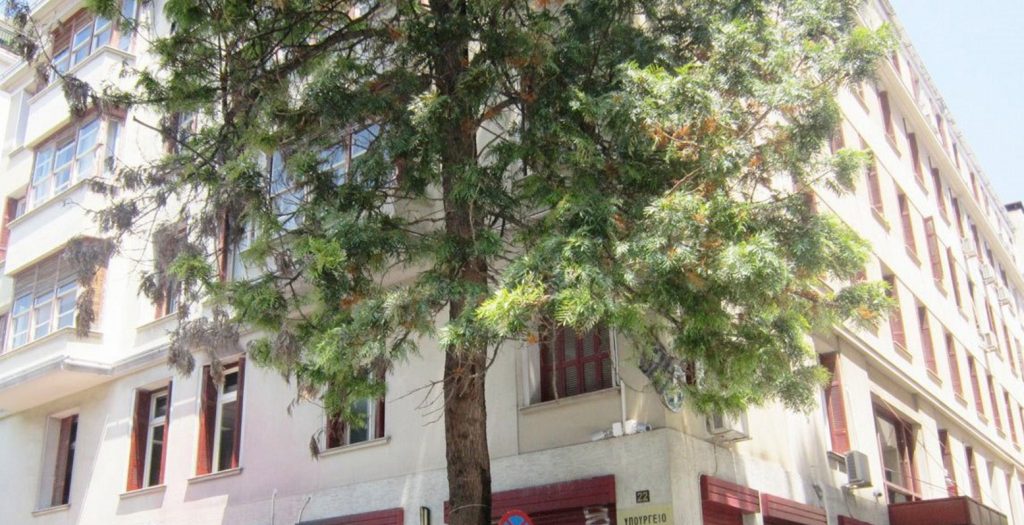 ΣΕΑ: 24ωρη απεργία και διαμαρτυρία σε Αθήνα και Θεσσαλονίκη | Pagenews.gr ΣΕΑ: 24ωρη απεργία και διαμαρτυρία σε Αθήνα και Θεσσαλονίκη | Pagenews.gr