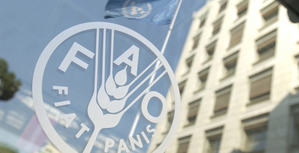 ΟΗΕ: Μειωμένες οι τιμές των τροφίμων τον Νοέμβριο | Pagenews.gr ΟΗΕ: Μειωμένες οι τιμές των τροφίμων τον Νοέμβριο | Pagenews.gr