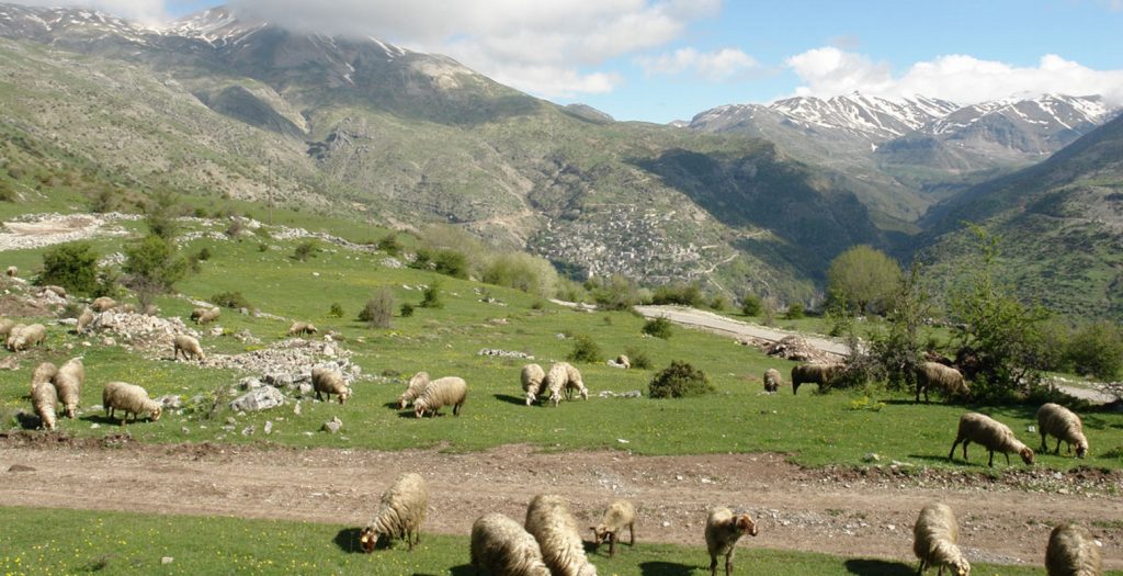 Αναρτήθηκαν οι καταστάσεις κατανομής βοσκοτόπων | Pagenews.gr Αναρτήθηκαν οι καταστάσεις κατανομής βοσκοτόπων | Pagenews.gr