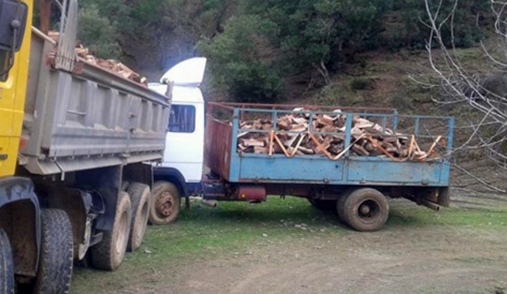 Αμφιλοχία: Κατάσχεση παράνομης υλοτομίας | Pagenews.gr Αμφιλοχία: Κατάσχεση παράνομης υλοτομίας | Pagenews.gr