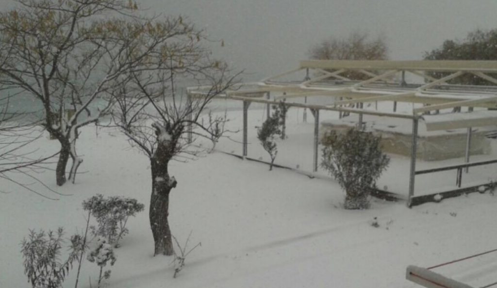 Χιονόπτωση στη Χαλκιδική: Πού χρειάζονται αντιολισθητικές αλυσίδες (vid) | Pagenews.gr Χιονόπτωση στη Χαλκιδική: Πού χρειάζονται αντιολισθητικές αλυσίδες (vid) | Pagenews.gr