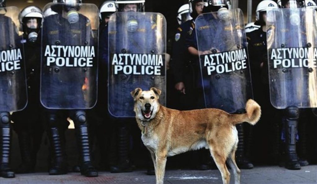 Καλαμάτα: Ξεκινά το 4ο Διεθνές Φεστιβάλ Ντοκιμαντέρ Πελοποννήσου | Pagenews.gr Καλαμάτα: Ξεκινά το 4ο Διεθνές Φεστιβάλ Ντοκιμαντέρ Πελοποννήσου | Pagenews.gr