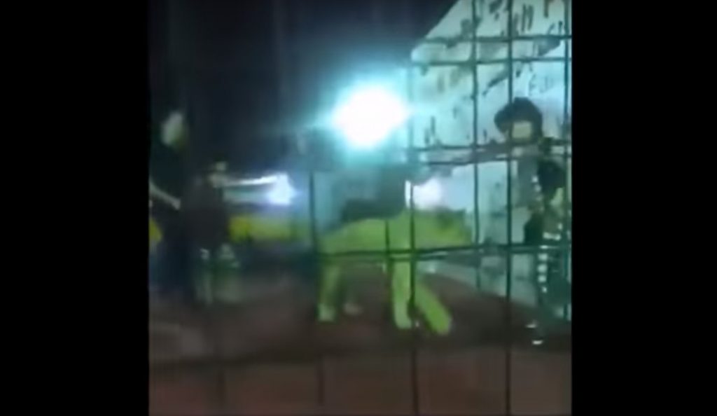 Σαουδική Αραβία: Λιοντάρι επιτίθεται σε κοριτσάκι (vid) | Pagenews.gr Σαουδική Αραβία: Λιοντάρι επιτίθεται σε κοριτσάκι (vid) | Pagenews.gr