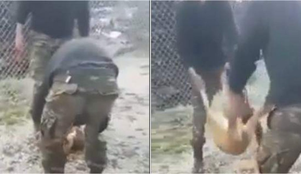Αναγνωρίστηκαν οι οπλίτες που βασάνισαν σκύλο στο στρατόπεδο | Pagenews.gr Αναγνωρίστηκαν οι οπλίτες που βασάνισαν σκύλο στο στρατόπεδο | Pagenews.gr