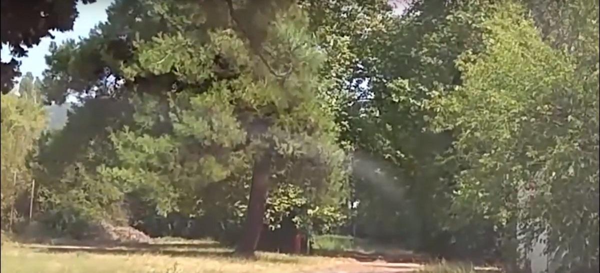 Θεσσαλονίκη: Σε εξέλιξη βρίσκονται οι εργασίες συντήρησης και βελτίωσης του κάμπινγκ της Ασπροβάλτας | Pagenews.gr Θεσσαλονίκη: Σε εξέλιξη βρίσκονται οι εργασίες συντήρησης και βελτίωσης του κάμπινγκ της Ασπροβάλτας | Pagenews.gr