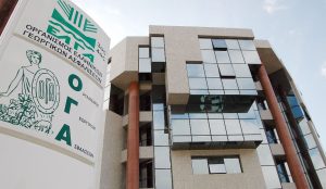 ΟΓΑ: Από την Παρασκευή η παροχή δωρεάν βιβλίων στους 175.000 δικαιούχους | Pagenews.gr ΟΓΑ: Από την Παρασκευή η παροχή δωρεάν βιβλίων στους 175.000 δικαιούχους | Pagenews.gr