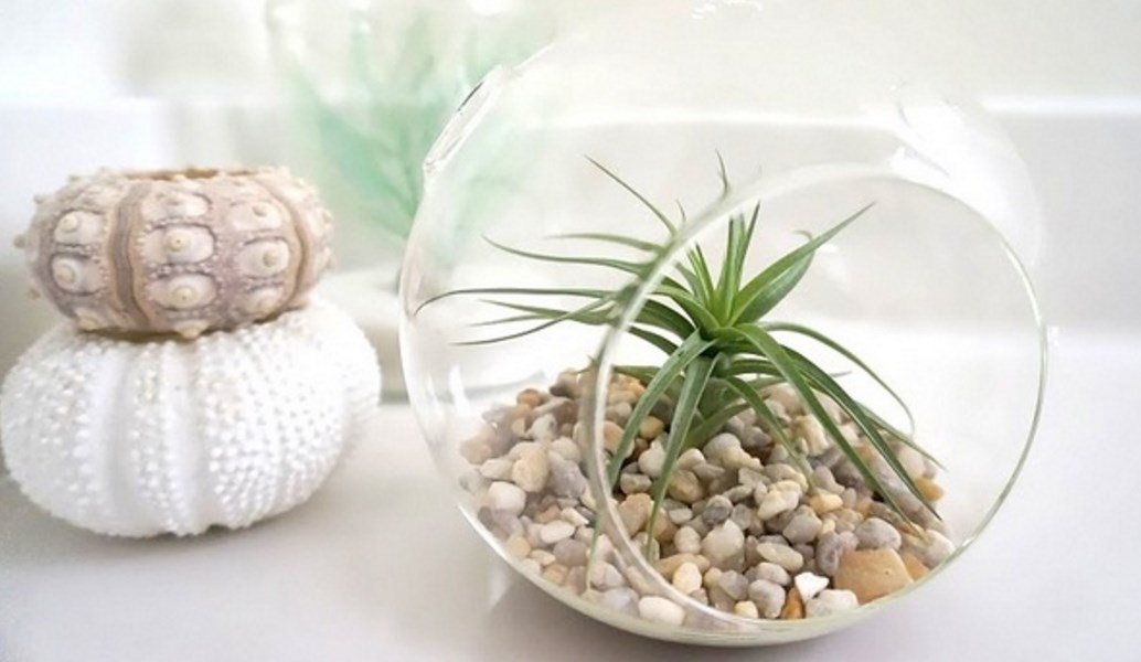 Κάντε το σαλόνι σας έναν μικρό, καταπράσινο κήπο! (pics)