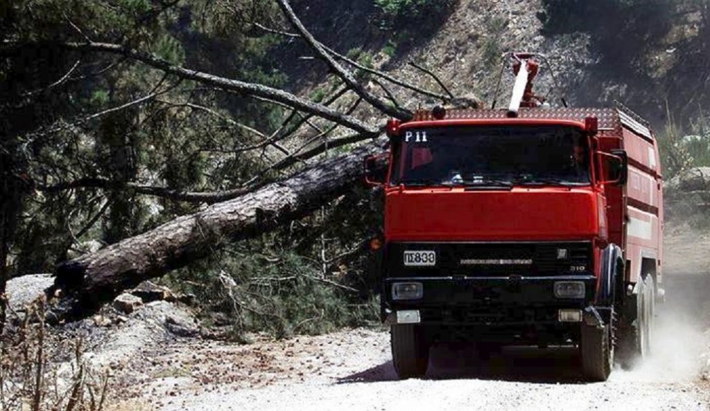 Ηλεία: 11 χρόνια από τις φονικές πυρκαγιές – Τι λέει ο αντιπεριφερειάρχης | Pagenews.gr Ηλεία: 11 χρόνια από τις φονικές πυρκαγιές – Τι λέει ο αντιπεριφερειάρχης | Pagenews.gr