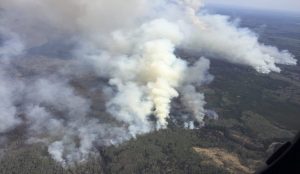Καμία ανησυχία για τη δημόσια υγεία από τη φωτιά στη Σίνδο | Pagenews.gr Καμία ανησυχία για τη δημόσια υγεία από τη φωτιά στη Σίνδο | Pagenews.gr