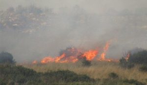 ΦΩΤΙΑ ΤΩΡΑ: Υπό έλεγχο η φωτιά στο χωριό Λαμπίρη της Ηλείας | Pagenews.gr ΦΩΤΙΑ ΤΩΡΑ: Υπό έλεγχο η φωτιά στο χωριό Λαμπίρη της Ηλείας | Pagenews.gr