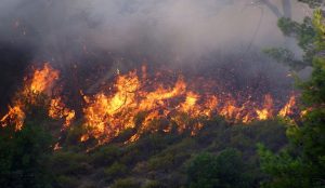 ΦΩΤΙΑ ΤΩΡΑ: Πυρκαγιά σε εξέλιξη στην Κρήτη | Pagenews.gr ΦΩΤΙΑ ΤΩΡΑ: Πυρκαγιά σε εξέλιξη στην Κρήτη | Pagenews.gr