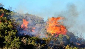 Φωτιά τώρα: Μαίνεται η πυρκαγιά στην Ηλεία – Εμπρησμό φοβούνται στην Εύβοια (pics&vids) | Pagenews.gr Φωτιά τώρα: Μαίνεται η πυρκαγιά στην Ηλεία – Εμπρησμό φοβούνται στην Εύβοια (pics&vids) | Pagenews.gr