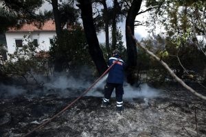 Φωτιά τώρα: Αισιοδοξία για την κατάσβεση της πυρκαγιάς στην Εύβοια | Pagenews.gr Φωτιά τώρα: Αισιοδοξία για την κατάσβεση της πυρκαγιάς στην Εύβοια | Pagenews.gr