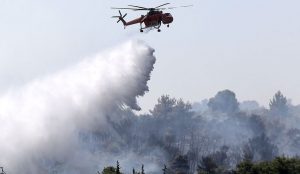 Φωτιά τώρα: Καίει πευκοδάσος στο Αγκίστρι (vid) | Pagenews.gr Φωτιά τώρα: Καίει πευκοδάσος στο Αγκίστρι (vid) | Pagenews.gr