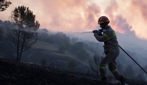 Περιφέρεια Ανατολής Αττικής: Σε πλήρη ετοιμότητα για την αντιμετώπιση δασικών πυρκαγιών | Pagenews.gr Περιφέρεια Ανατολής Αττικής: Σε πλήρη ετοιμότητα για την αντιμετώπιση δασικών πυρκαγιών | Pagenews.gr