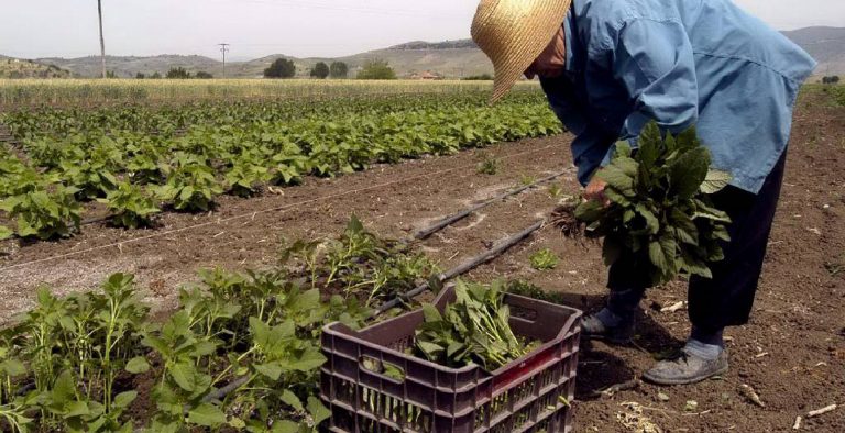 Ορεστιάδα: Ένας 68χρονος παγιδεύτηκε σε ποτιστικό καρούλι και πέθανε