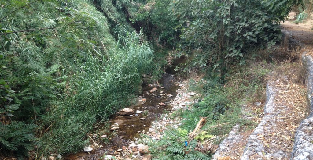 Καθαρισμοί ρεμάτων της Ανατ. Αττικής | Pagenews.gr Καθαρισμοί ρεμάτων της Ανατ. Αττικής | Pagenews.gr