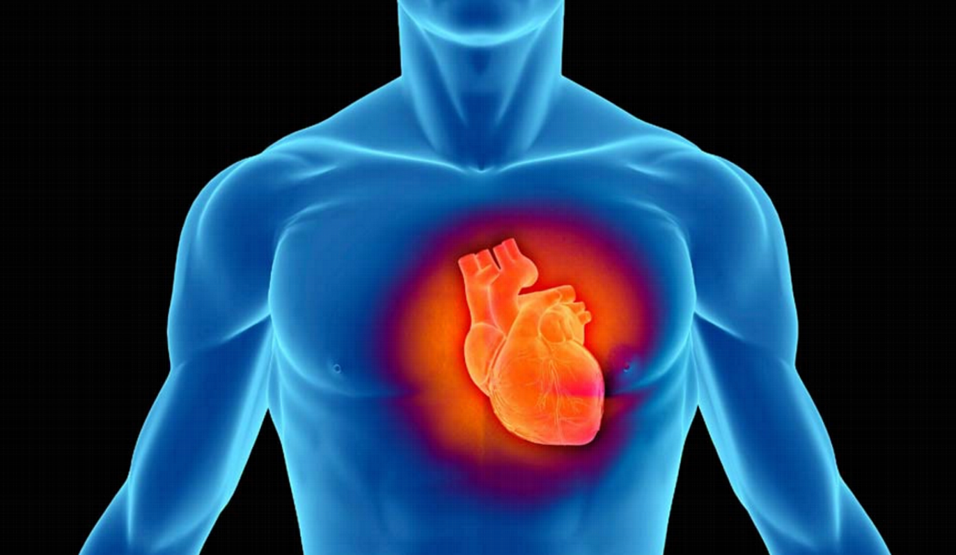 large 1486634342 heart attack | Lamianow.gr