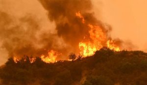 Καλιφόρνια: Οκτώ νεκροί από την καταστροφική πυρκαγιά | Pagenews.gr Καλιφόρνια: Οκτώ νεκροί από την καταστροφική πυρκαγιά | Pagenews.gr