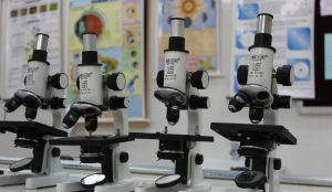 Ανακαλύφθηκαν ανθρώπινα σκελετικά βλαστικά κύτταρα | Pagenews.gr Ανακαλύφθηκαν ανθρώπινα σκελετικά βλαστικά κύτταρα | Pagenews.gr