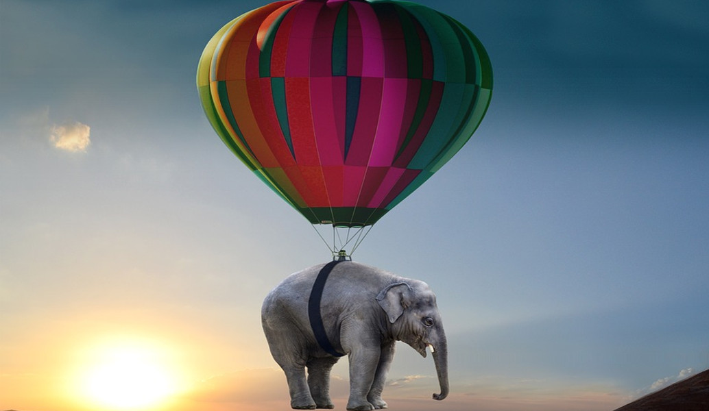 Ποιον ενοχλεί ο ελέφαντας στο δωμάτιο;