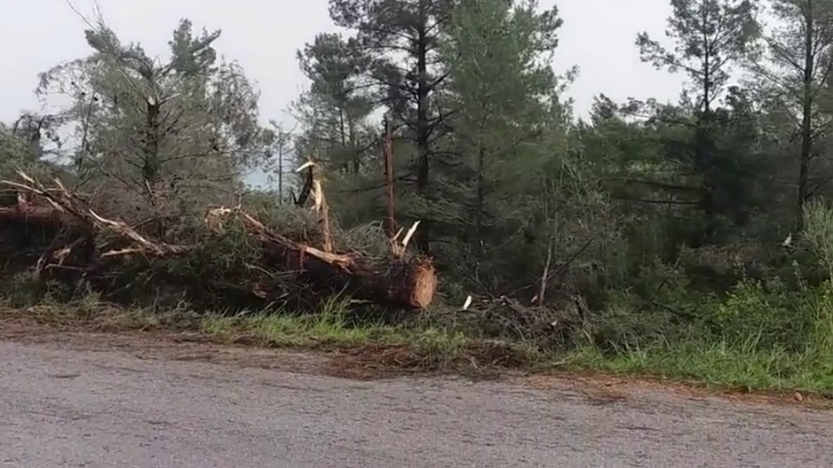 Ανεμοστρόβιλος σάρωσε τα πάντα στη Χαλκιδική (vid) | Pagenews.gr Ανεμοστρόβιλος σάρωσε τα πάντα στη Χαλκιδική (vid) | Pagenews.gr