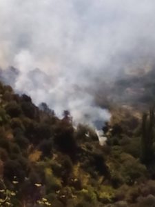Μεγάλη φωτιά στη Νάξο (pics&vid) | Pagenews.gr Μεγάλη φωτιά στη Νάξο (pics&vid) | Pagenews.gr