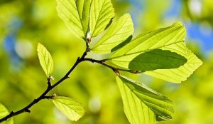 Καιρός: Η πρόγνωση για την Τρίτη (24/4/18) | Pagenews.gr Καιρός: Η πρόγνωση για την Τρίτη (24/4/18) | Pagenews.gr