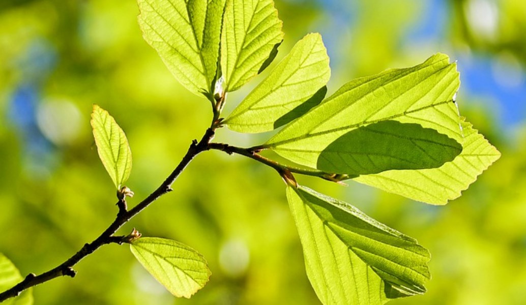 1524500144956 kairos | Lamianow.gr