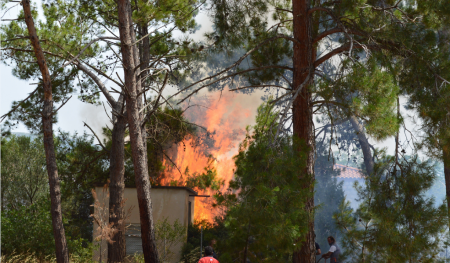 Φωτιά τώρα: Πυρκαγιά σε εξέλιξη στην περιοχή Κορυφή της Ηλείας | Pagenews.gr Φωτιά τώρα: Πυρκαγιά σε εξέλιξη στην περιοχή Κορυφή της Ηλείας | Pagenews.gr