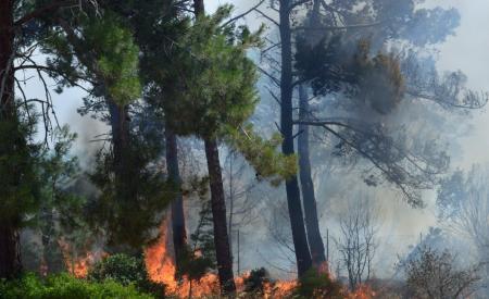 ΦΩΤΙΑ ΤΩΡΑ: Σε εξέλιξη πυρκαγιά στην Πάτρα | Pagenews.gr ΦΩΤΙΑ ΤΩΡΑ: Σε εξέλιξη πυρκαγιά στην Πάτρα | Pagenews.gr
