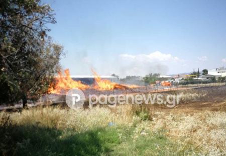 Αναζωπύρωση της φωτιάς στο Μενίδι | Pagenews.gr Αναζωπύρωση της φωτιάς στο Μενίδι | Pagenews.gr