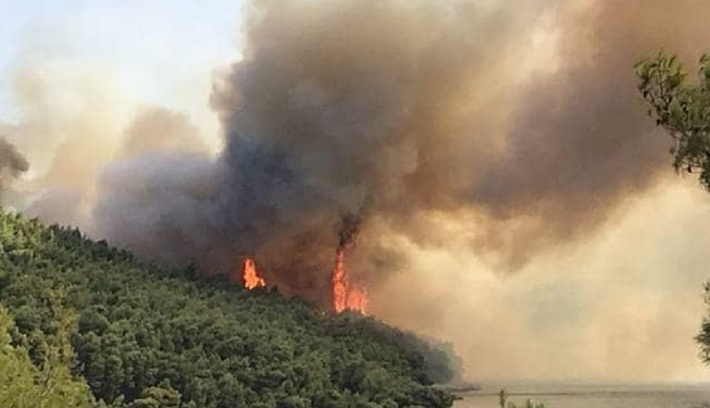 Φωτιά τώρα στην Κινέτα: Οι φλόγες μπήκαν στα σπίτια (vid) | Pagenews.gr Φωτιά τώρα στην Κινέτα: Οι φλόγες μπήκαν στα σπίτια (vid) | Pagenews.gr