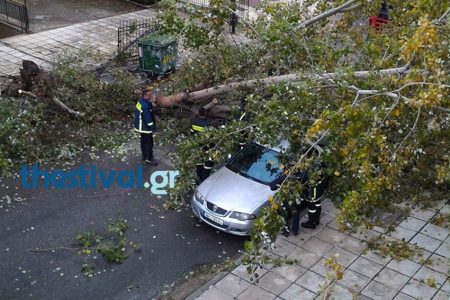 Καταστροφικό μπουρίνι στη Θεσσαλονίκη – Δέντρα πάνω στα αυτοκίνητα (vids) | Pagenews.gr Καταστροφικό μπουρίνι στη Θεσσαλονίκη – Δέντρα πάνω στα αυτοκίνητα (vids) | Pagenews.gr