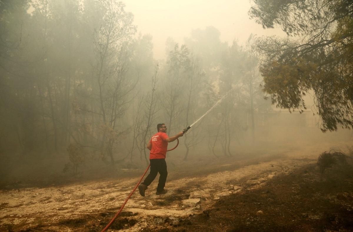 Φωτιά Κινέτα: Οι κάτοικοι προσπαθούν να σώσουν τις περιουσίες τους (pics&vid) | Pagenews.gr Φωτιά Κινέτα: Οι κάτοικοι προσπαθούν να σώσουν τις περιουσίες τους (pics&vid) | Pagenews.gr